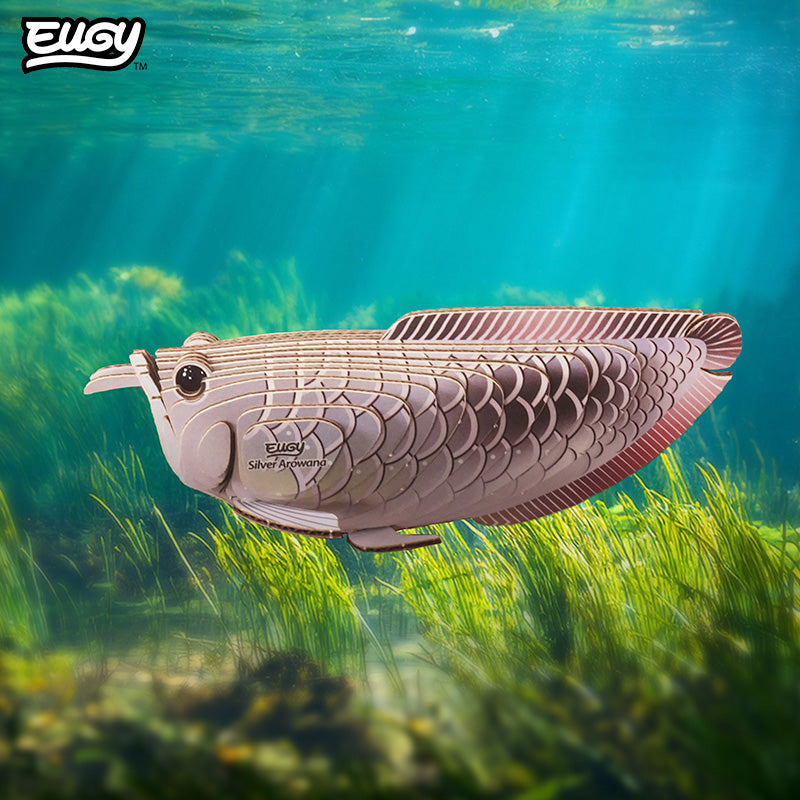 124 Silver Arowana
