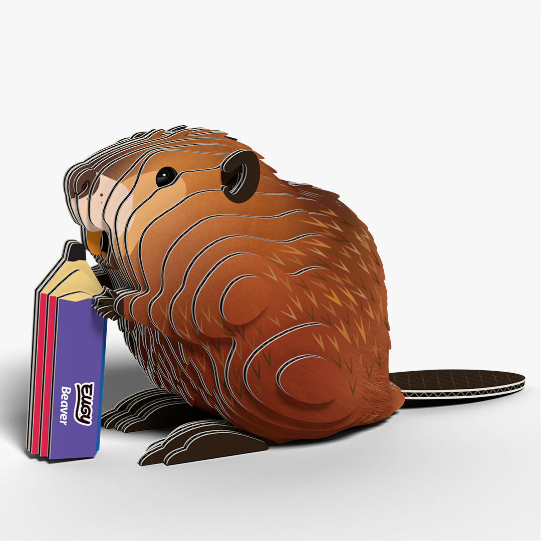 127 Beaver