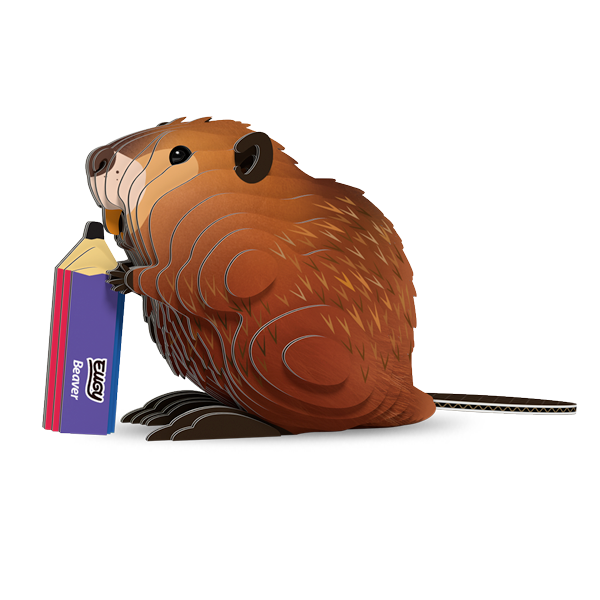 127 Beaver