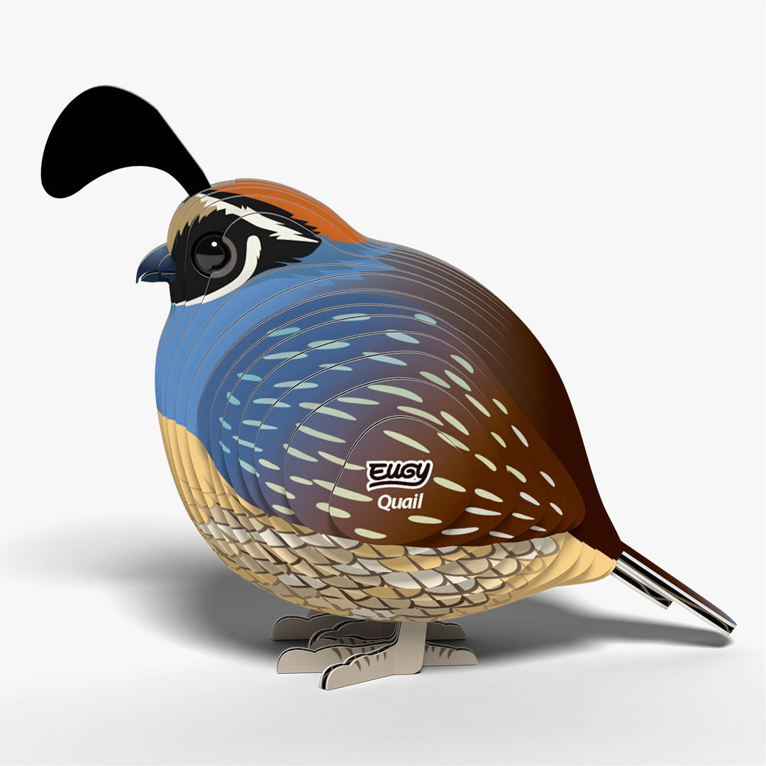 129 Quail