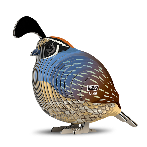 129 Quail