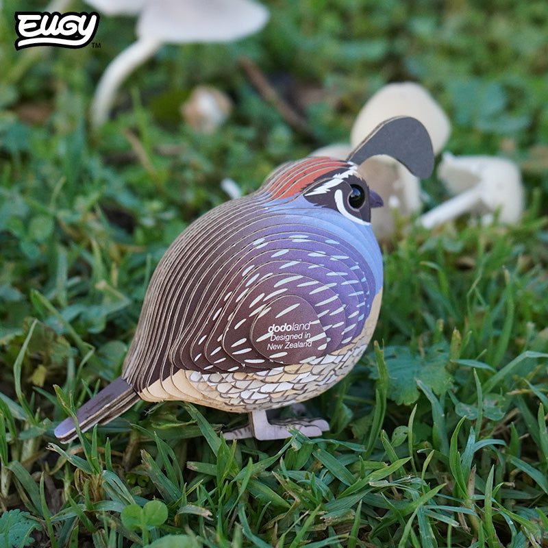 129 Quail