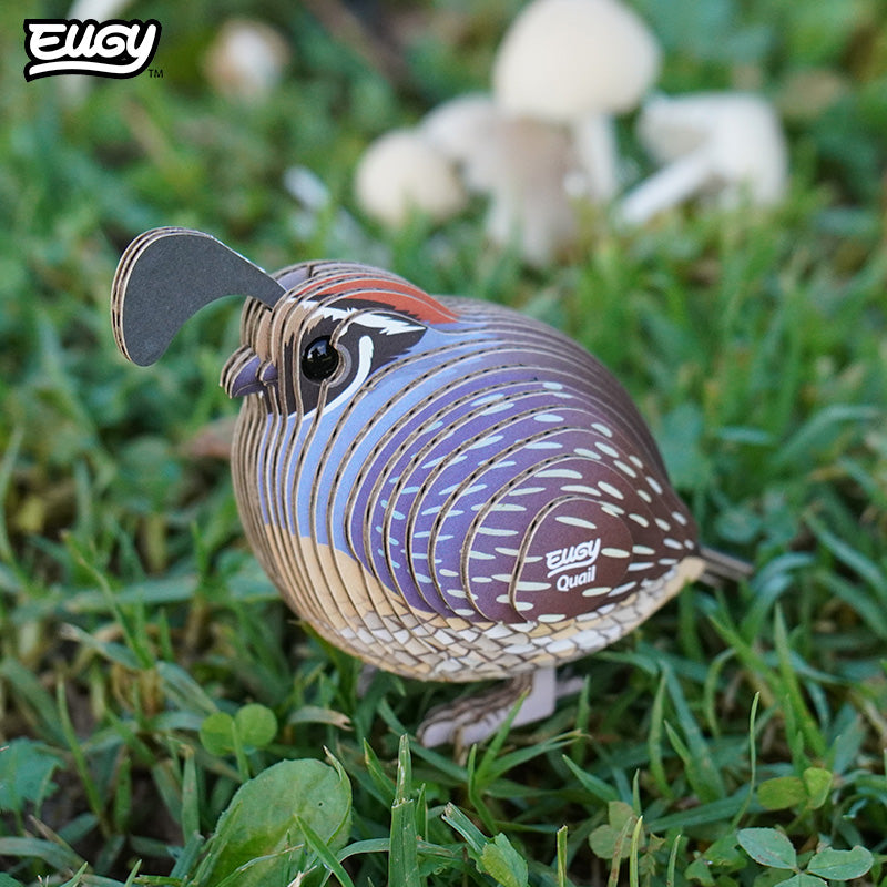129 Quail