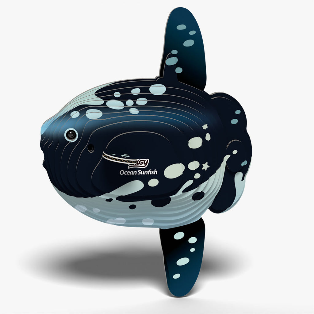 132 Ocean Sunfish