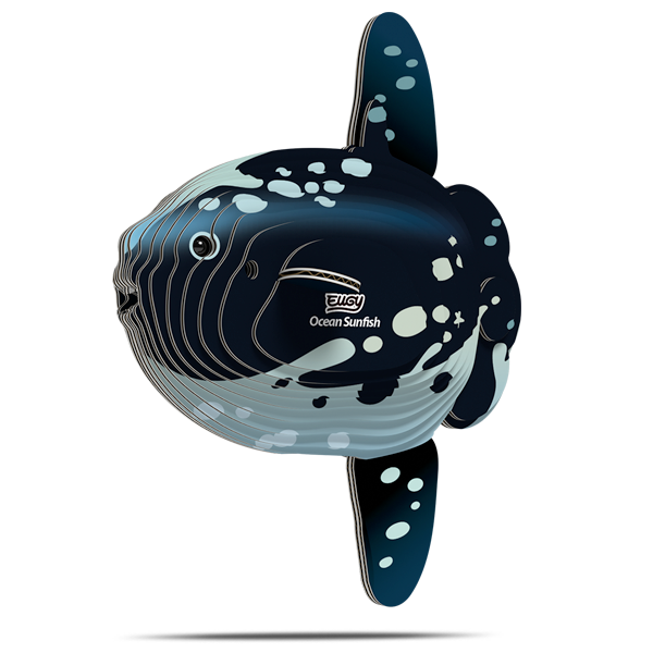132 Ocean Sunfish