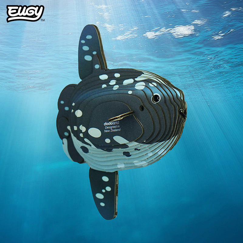 132 Ocean Sunfish