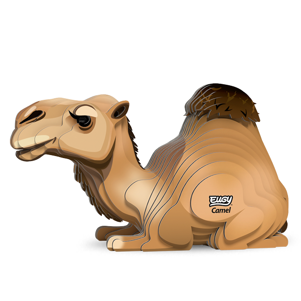 136 Camel